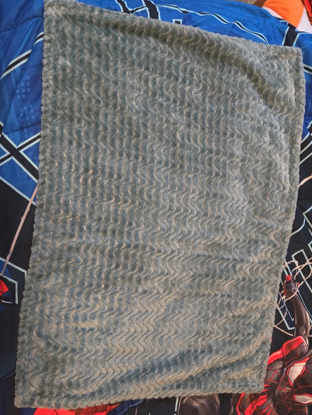 Fleece BABY Blanket (4)
